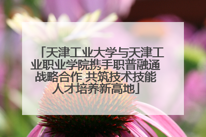 天津工业大学与天津工业职业学院携手职普融通战略合作 共筑技术技能人才培养新高地