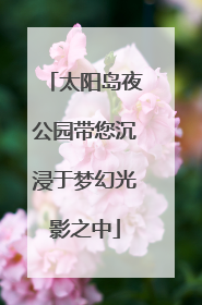 太阳岛夜公园带您沉浸于梦幻光影之中