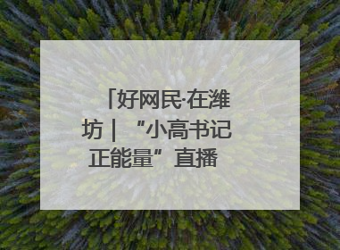 好网民·在潍坊｜“小高书记正能量”直播 带动群众致富