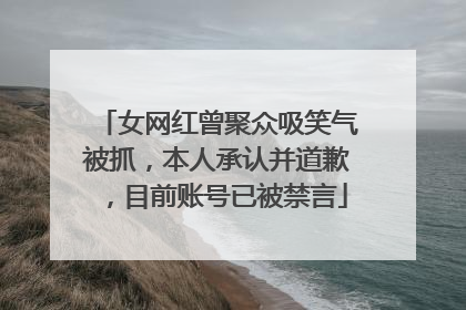女网红曾聚众吸笑气被抓，本人承认并道歉，目前账号已被禁言