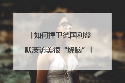 如何捍卫德国利益 默茨访美很“烧脑”