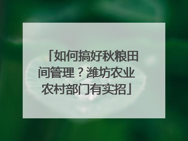 如何搞好秋粮田间管理？潍坊农业农村部门有实招