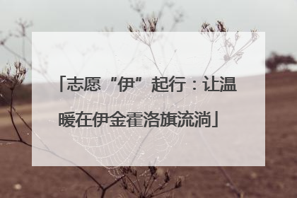 志愿“伊”起行：让温暖在伊金霍洛旗流淌