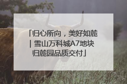 归心所向，美好如麓｜雪山万科城A7地块归麓园品质交付