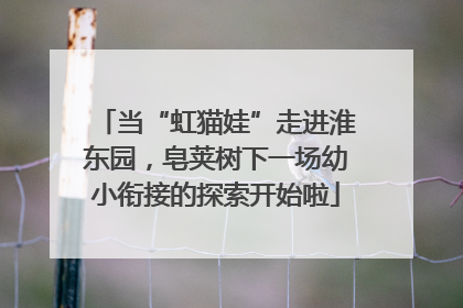 当“虹猫娃”走进淮东园，皂荚树下一场幼小衔接的探索开始啦
