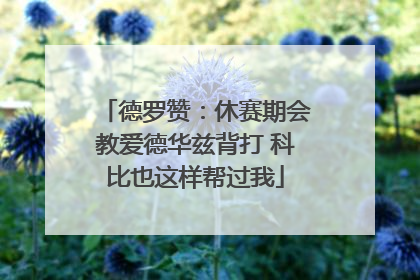 德罗赞：休赛期会教爱德华兹背打 科比也这样帮过我