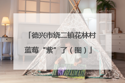 德兴市绕二镇花林村蓝莓“紫”了（图）