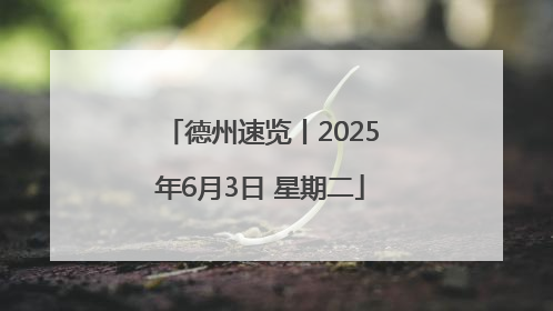 德州速览丨2025年6月3日 星期二