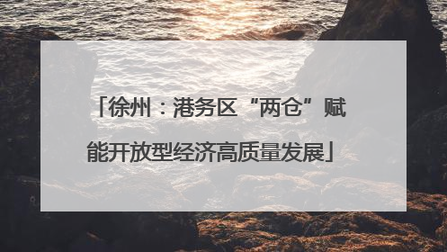 徐州：港务区“两仓”赋能开放型经济高质量发展