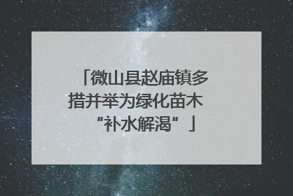 微山县赵庙镇多措并举为绿化苗木“补水解渴”