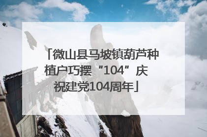微山县马坡镇葫芦种植户巧摆“104”庆祝建党104周年