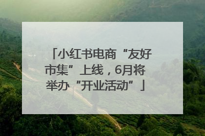 小红书电商“友好市集”上线，6月将举办“开业活动”