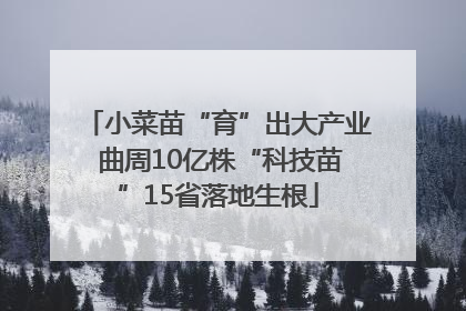 小菜苗“育”出大产业 曲周10亿株“科技苗”15省落地生根