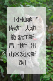 小轴承“传动”大动能 浙江新昌“拼”出山区发展新路