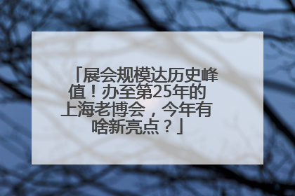 展会规模达历史峰值！办至第25年的上海老博会，今年有啥新亮点？