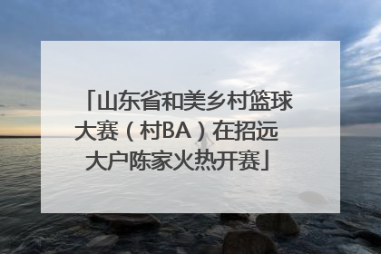 山东省和美乡村篮球大赛（村BA）在招远大户陈家火热开赛