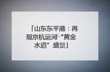 山东东平港：再现京杭运河“黄金水道”盛景