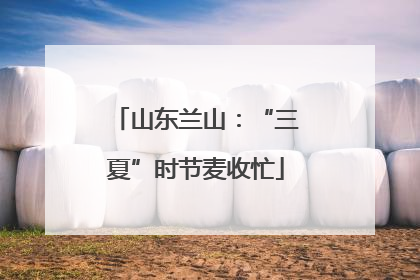 山东兰山：“三夏”时节麦收忙