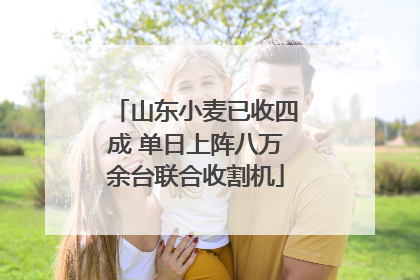 山东小麦已收四成 单日上阵八万余台联合收割机