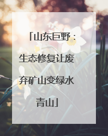 山东巨野：生态修复让废弃矿山变绿水青山