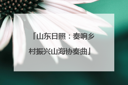 山东日照：奏响乡村振兴山海协奏曲