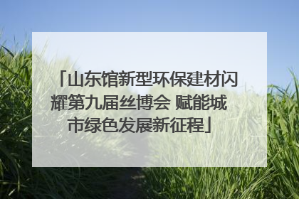 山东馆新型环保建材闪耀第九届丝博会 赋能城市绿色发展新征程