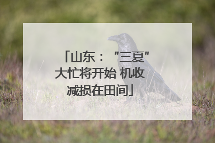 山东：“三夏”大忙将开始 机收减损在田间