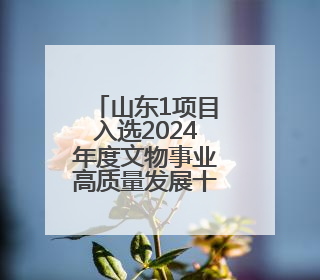 山东1项目入选2024年度文物事业高质量发展十佳案例