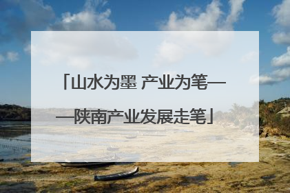 山水为墨 产业为笔——陕南产业发展走笔