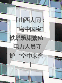 山西大同：“鸟中国宝”铁塔筑巢繁殖 电力人员守护“空中来客”