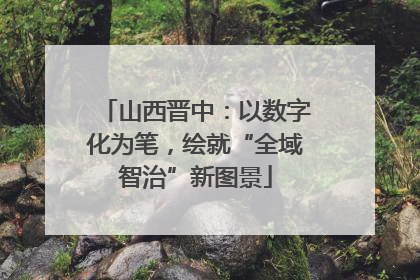 山西晋中：以数字化为笔，绘就“全域智治”新图景