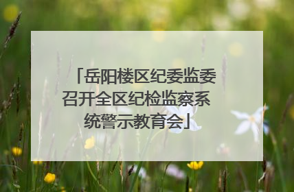岳阳楼区纪委监委召开全区纪检监察系统警示教育会