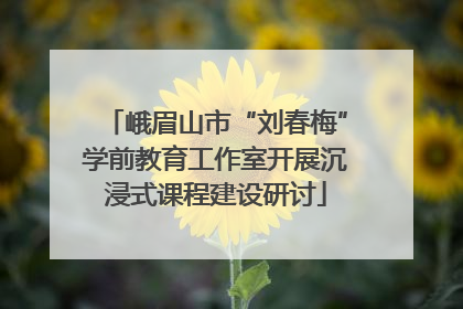 峨眉山市“刘春梅”学前教育工作室开展沉浸式课程建设研讨