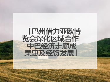 巴州借力亚欧博览会深化区域合作 中巴经济走廊成果惠及经贸发展