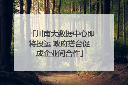 川南大数据中心即将投运 政府搭台促成企业间合作