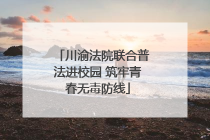 川渝法院联合普法进校园 筑牢青春无毒防线