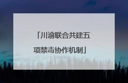 川渝联合共建五项禁毒协作机制