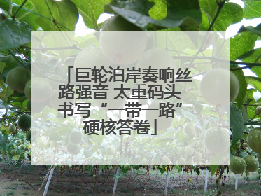 巨轮泊岸奏响丝路强音 太重码头书写“一带一路”硬核答卷