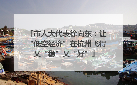 市人大代表徐向东：让“低空经济”在杭州飞得又“稳”又“好”