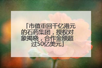 市值重回千亿港元的石药集团，授权对象揭晓，合作金额超过50亿美元
