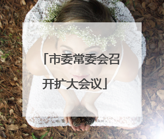 市委常委会召开扩大会议