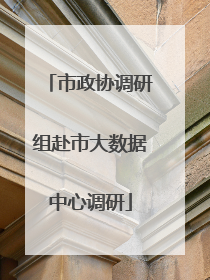 市政协调研组赴市大数据中心调研