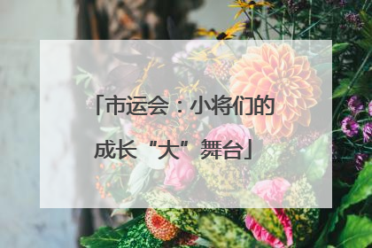 市运会：小将们的成长“大”舞台