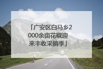 广安区白马乡2000余亩花椒迎来丰收采摘季