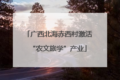 广西北海赤西村激活“农文旅学”产业