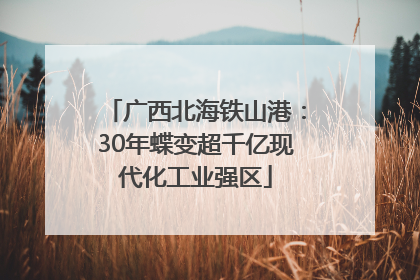广西北海铁山港：30年蝶变超千亿现代化工业强区