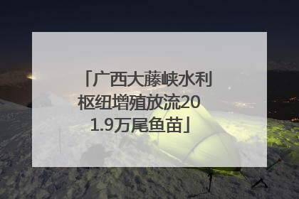 广西大藤峡水利枢纽增殖放流201.9万尾鱼苗