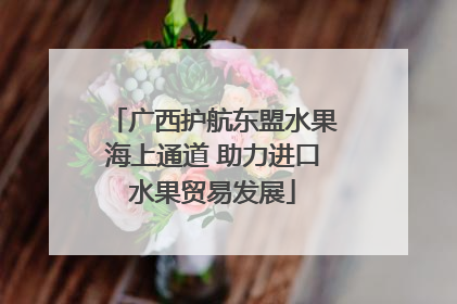 广西护航东盟水果海上通道 助力进口水果贸易发展