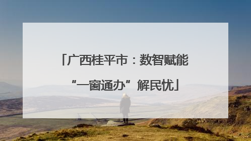 广西桂平市：数智赋能“一窗通办”解民忧