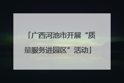 广西河池市开展“质量服务进园区”活动